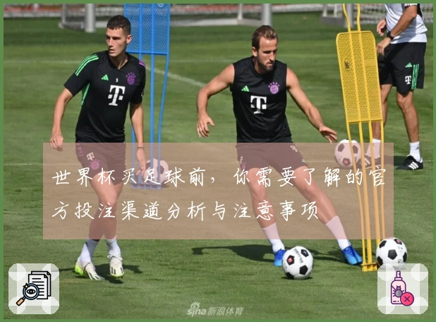 世界杯买足球前，你需要了解的官方投注渠道分析与注意事项