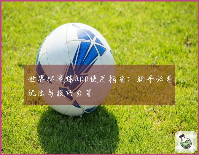 世界杯滚球App使用指南：新手必看玩法与技巧分享