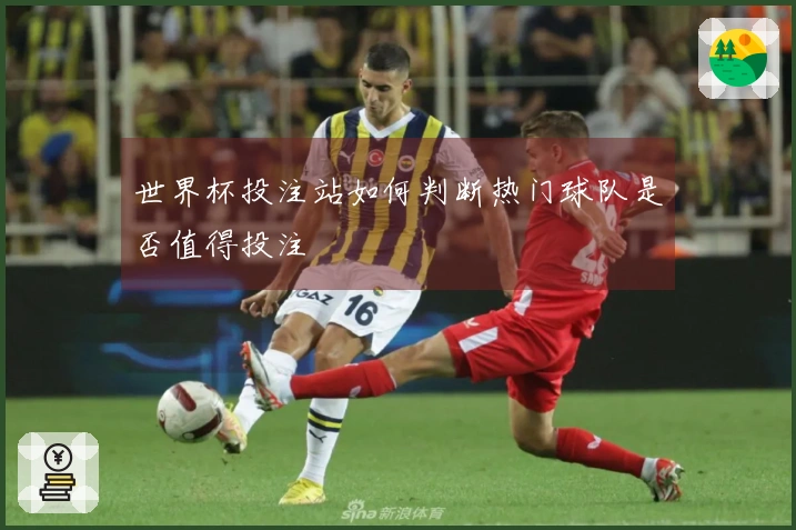 世界杯投注站如何判断热门球队是否值得投注