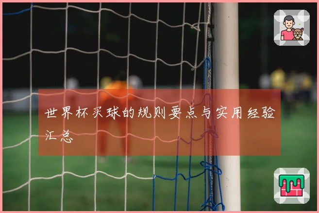 世界杯买球的规则要点与实用经验汇总