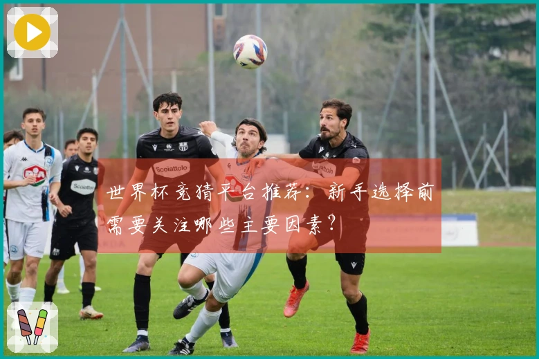 世界杯竞猜平台推荐：新手选择前需要关注哪些主要因素？