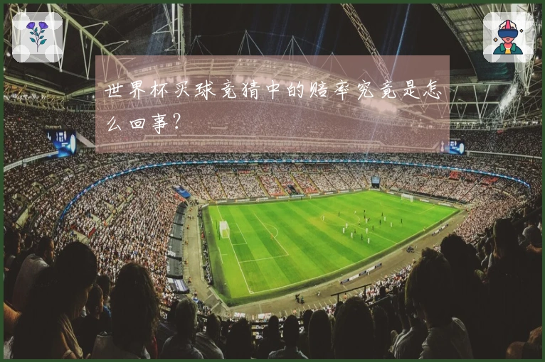 世界杯买球竞猜中的赔率究竟是怎么回事？