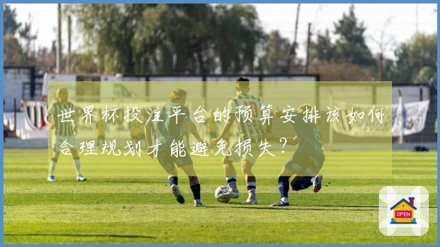 世界杯投注平台的预算安排该如何合理规划才能避免损失？