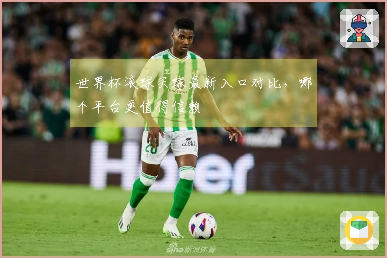 世界杯滚球买球最新入口对比，哪个平台更值得信赖