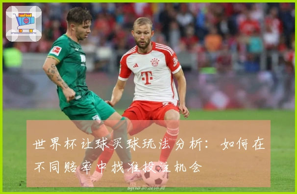 世界杯让球买球玩法分析:如何在不同赔率中找准投注机会