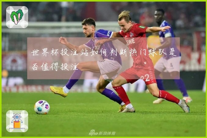 世界杯投注站如何判断热门球队是否值得投注