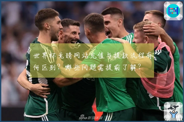 世界杯竞猜网站充值与提款流程有何区别？哪些问题需提前了解？