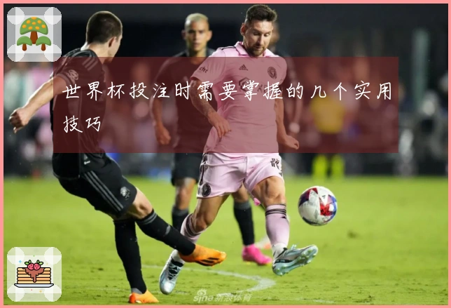 世界杯投注时需要掌握的几个实用技巧