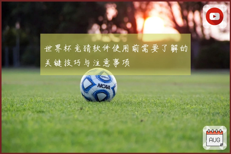 世界杯竞猜软件使用前需要了解的关键技巧与注意事项