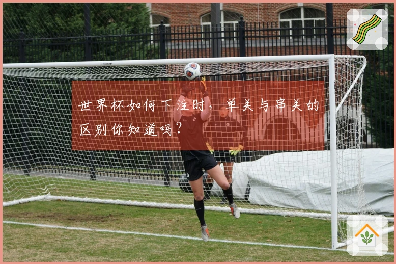 世界杯如何下注时，单关与串关的区别你知道吗？