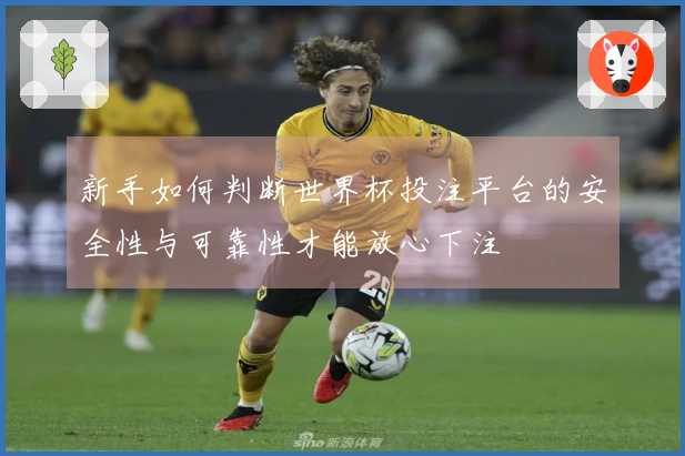 新手如何判断世界杯投注平台的安全性与可靠性才能放心下注