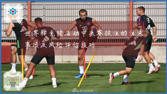 世界杯竞猜活动中决赛投注的注意事项及风险评估技巧