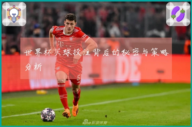 世界杯买球投注背后的秘密与策略分析