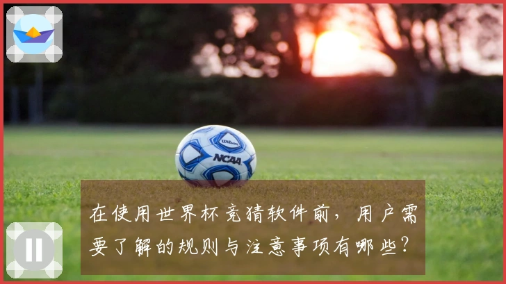 在使用世界杯竞猜软件前，用户需要了解的规则与注意事项有哪些？