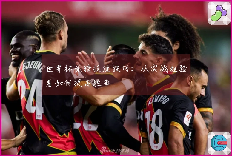 世界杯竞猜投注技巧：从实战经验看如何提高胜率
