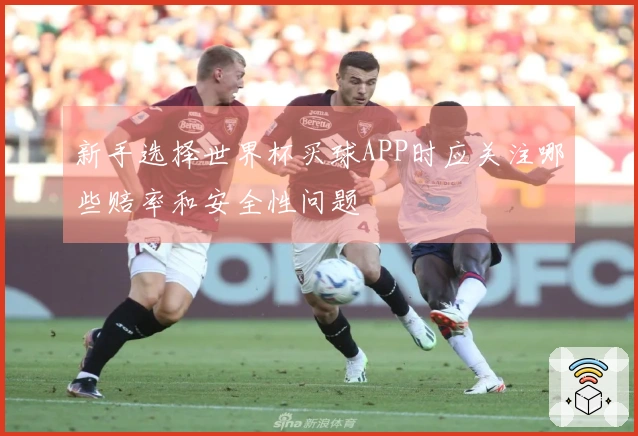 新手选择世界杯买球APP时应关注哪些赔率和安全性问题