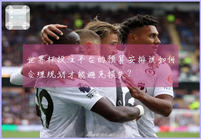 世界杯投注平台的预算安排该如何合理规划才能避免损失？