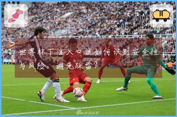 世界杯下注入口该如何识别安全性与风险，避免踩雷？