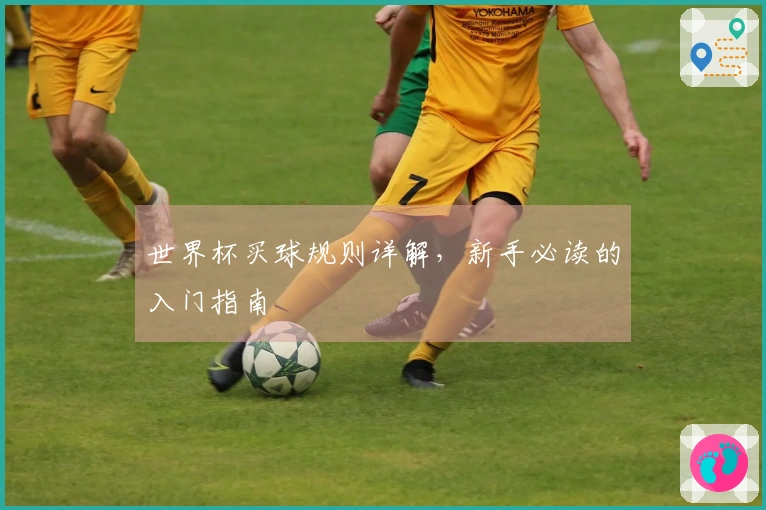 世界杯买球规则详解，新手必读的入门指南
