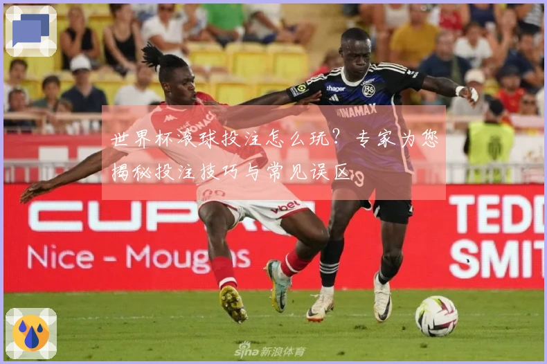 世界杯滚球投注怎么玩？专家为您揭秘投注技巧与常见误区
