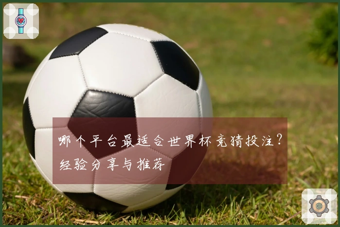 哪个平台最适合世界杯竞猜投注？经验分享与推荐