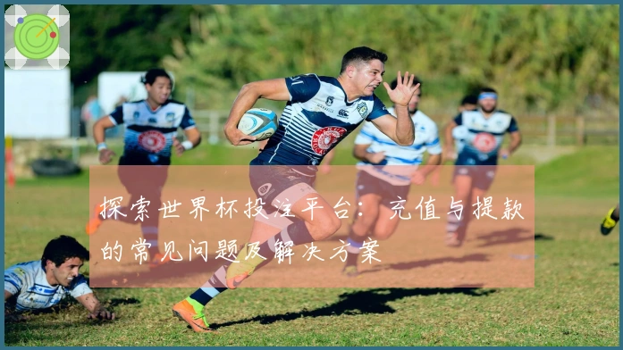 探索世界杯投注平台：充值与提款的常见问题及解决方案
