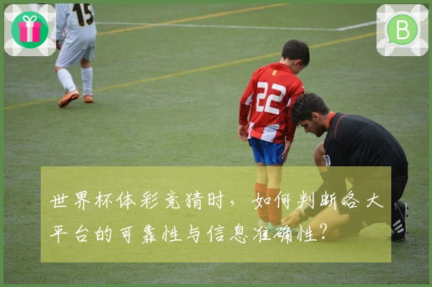 世界杯体彩竞猜时，如何判断各大平台的可靠性与信息准确性？