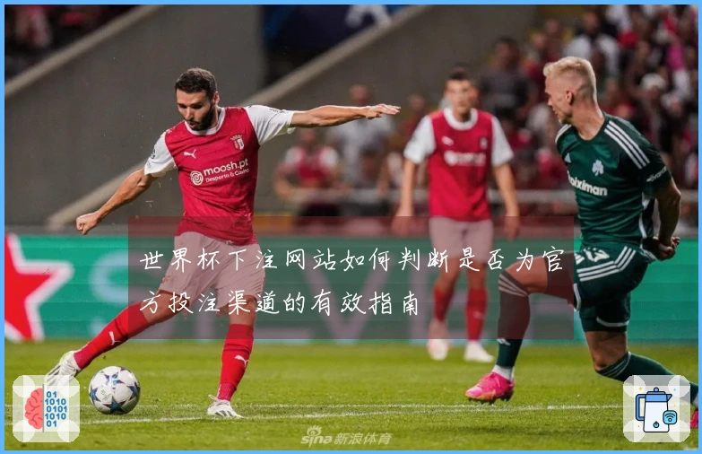 世界杯下注网站如何判断是否为官方投注渠道的有效指南
