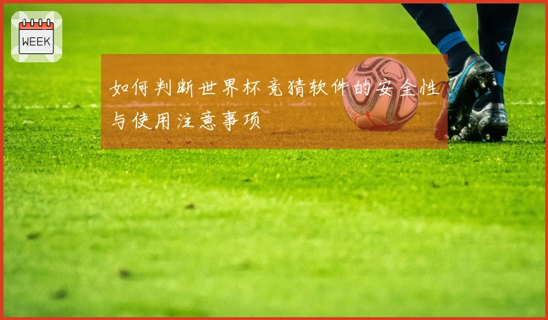 如何判断世界杯竞猜软件的安全性与使用注意事项