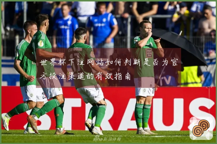 世界杯下注网站如何判断是否为官方投注渠道的有效指南