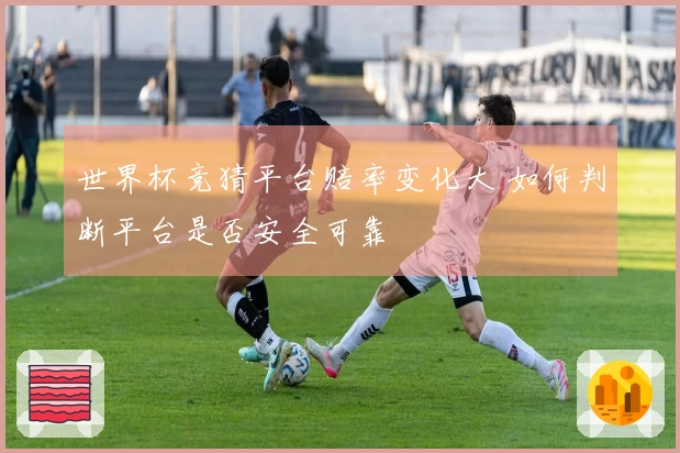 世界杯竞猜平台赔率变化大 如何判断平台是否安全可靠