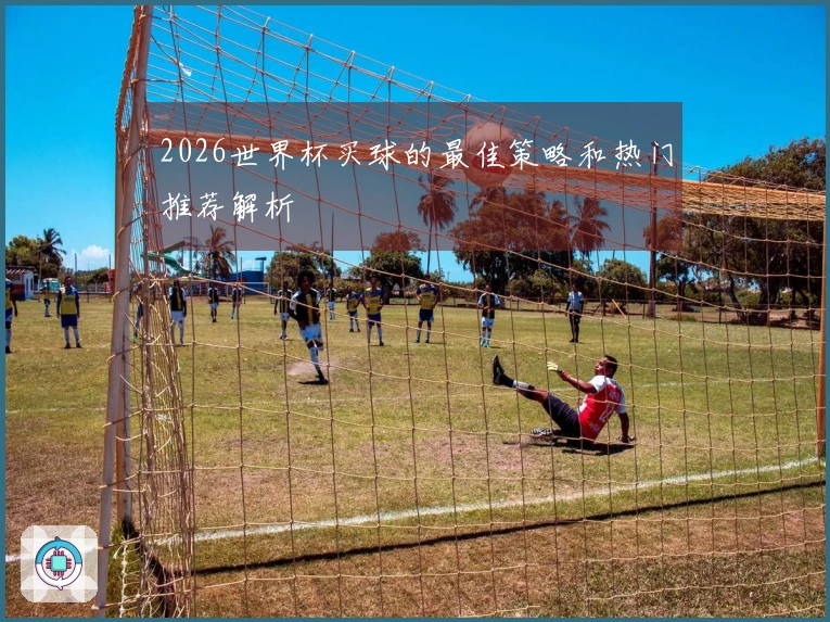 2026世界杯买球的最佳策略和热门推荐解析