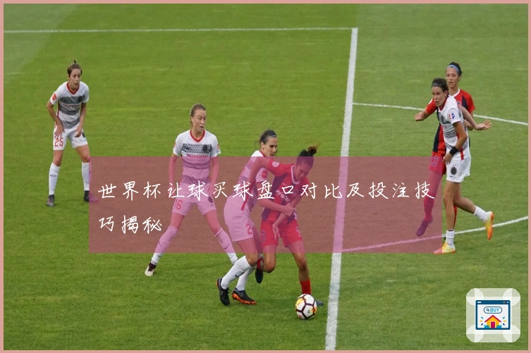 世界杯让球买球盘口对比及投注技巧揭秘