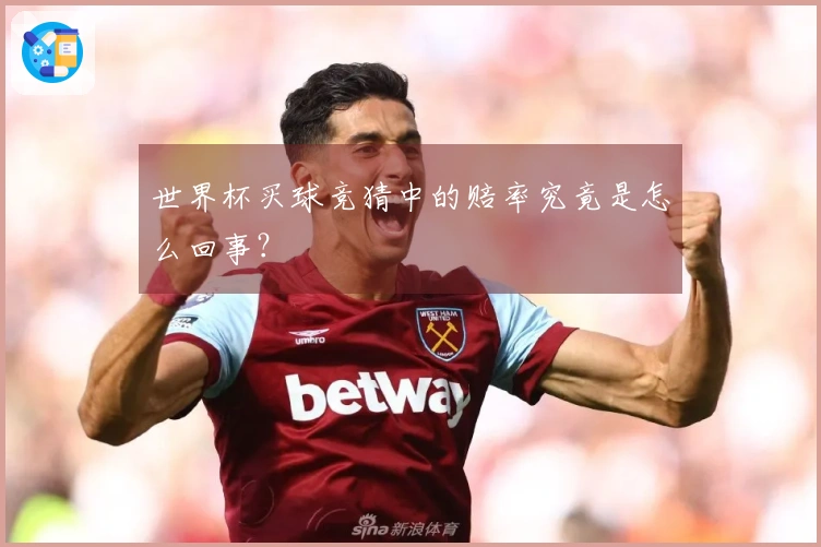 世界杯买球竞猜中的赔率究竟是怎么回事？