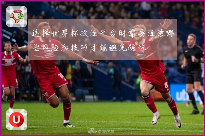 选择世界杯投注平台时需要注意哪些风险和技巧才能避免踩坑