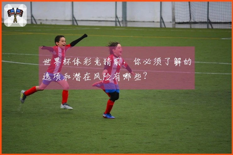 世界杯体彩竞猜前，你必须了解的选项和潜在风险有哪些？