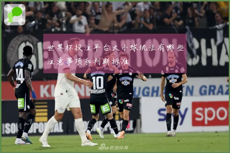 世界杯投注平台大小球玩法有哪些注意事项和判断标准