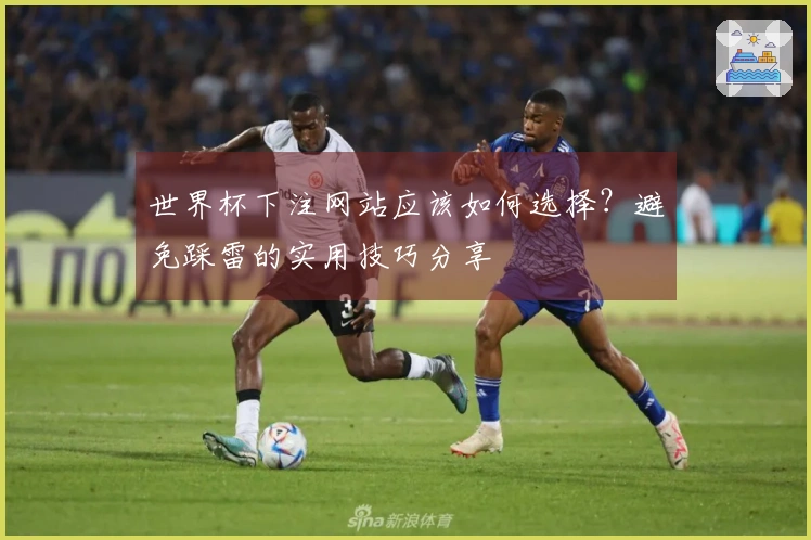 世界杯下注网站应该如何选择？避免踩雷的实用技巧分享