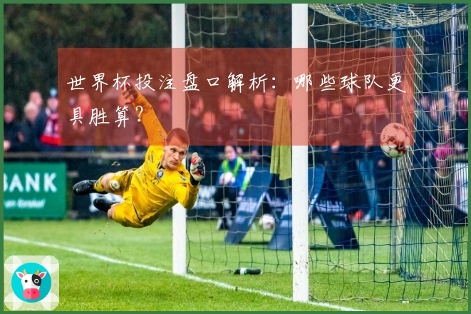 世界杯投注盘口解析：哪些球队更具胜算？