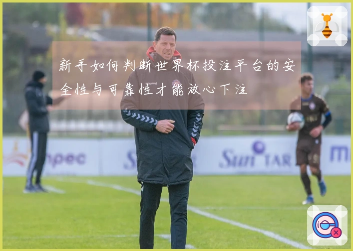 新手如何判断世界杯投注平台的安全性与可靠性才能放心下注