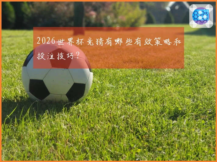 2026世界杯竞猜有哪些有效策略和投注技巧？
